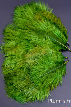 Struzzo barbules - 8-15 cm - rosso